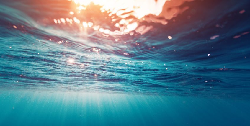 wearesocialit's tweet photo. Godersi le ferie, finalmente, senza smettere di prenderci cura di ciò che ci circonda. Il nuovo #TGWAS parla di #ambiente e #tech, seguiteci. 🐚https://t.co/ef9FaJxy9Y https://t.co/EQhQ5n1rq3