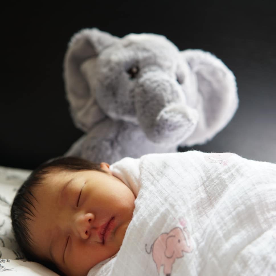 AuroraWorld's tweet image. Babies create some of the most precious moments in a lifetime! @anne420 #infants #newborn #elephantplush #preciousmoments #auroraworld