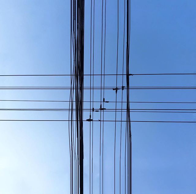 LawrenceYeah's tweet image. Can you see that little bird 🦅 ?
想拍一个飞鸟振翅的瞬间，结果那只小鸟怎么哄都不飞走，晒得我直流油，作罢

#shotoniphone #shotoniphone #shotoniphone6 #dronephotography #phonegraphy #bird #shanghai j.mp/2vhEuNw