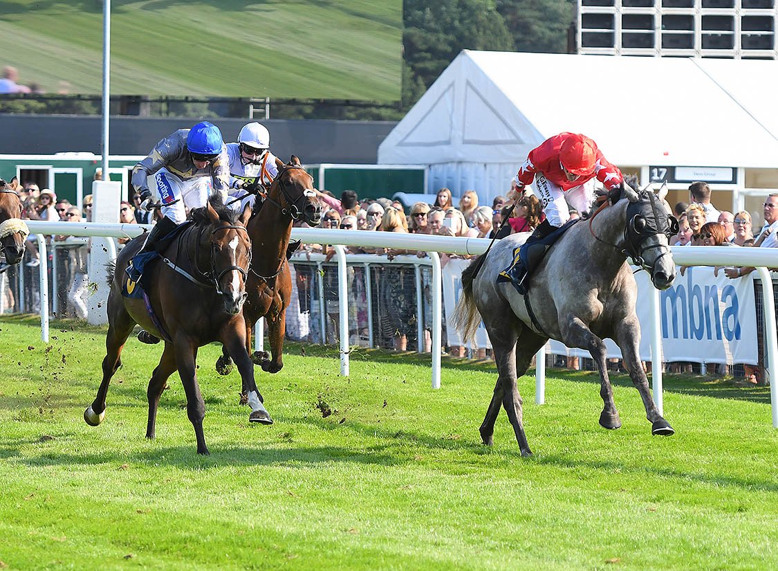 ChesterRaces tweet picture