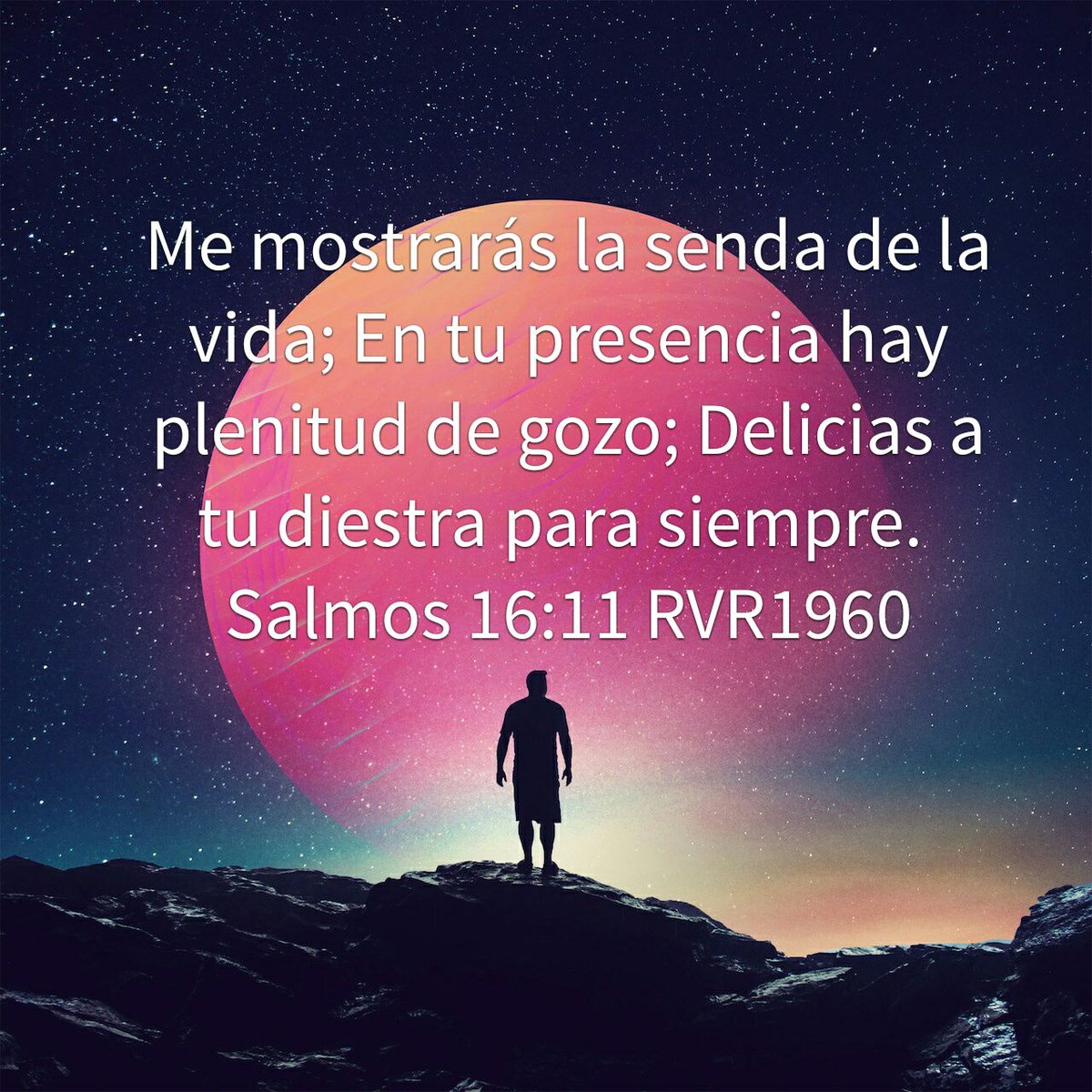 lisbetsuarez's tweet image. 