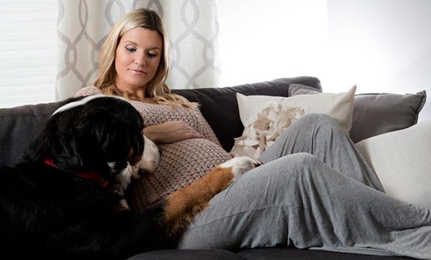 akcdoglovers's tweet photo. Can Dogs Sense Pregnancy? It’s Believed By Many That a Dog Can Detect a Change in a Woman: https://t.co/AMkQaTdwef https://t.co/ENyn0BnvDA