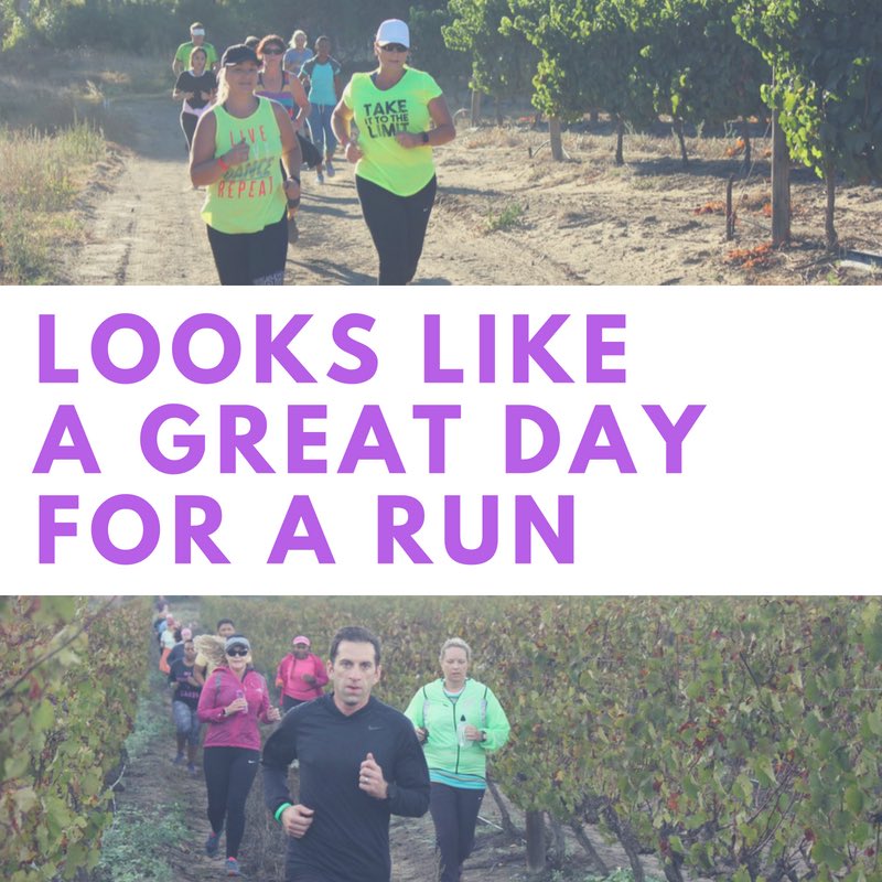 TrailFun tweet media