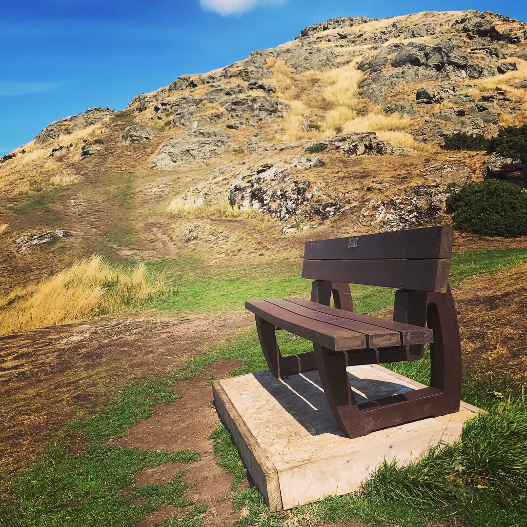 timbrog's tweet photo. Strong contender for the #BestBenchView https://t.co/9IILEDqnzQ