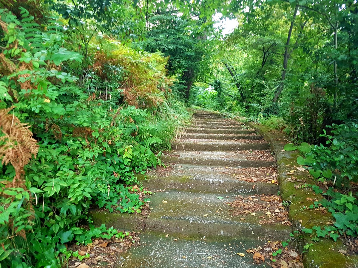 Scalinatella solitaria di Visanola i concittadini distratti e motorizzati non si ricordano più di te... ma non te la pigliare, non starci male, ci sono io che ti faccio compagnia mentre torno a casa 🚶‍♂️🏠