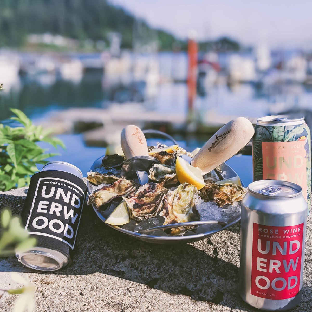 fishpeoples's tweet photo. It's a perfect day to grab a friend, some of these bad boys + a few cans of wine and have yourself a shucking good time.  #NationalOysterDay https://t.co/KGO3IhXDiI