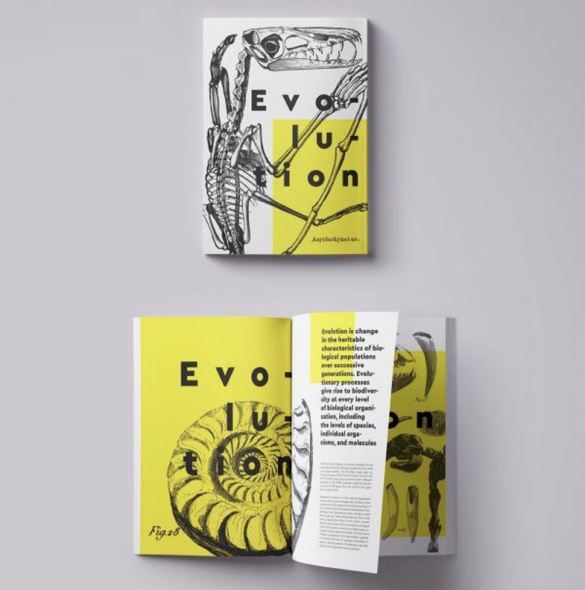 YBKJoyce's tweet photo. Beautiful use of white space for this clever layout. Notice the pulled quotes and breaks for text. #30daysofTheme https://t.co/lBStp3RRL5