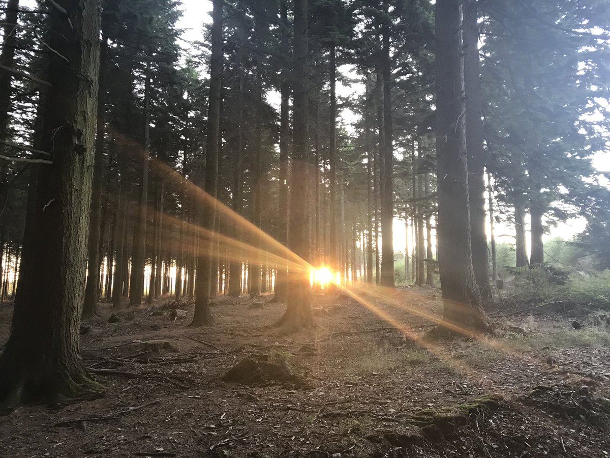 DrChrisHingston's tweet photo. Alpine start, trail running over Dartmoor past old familiar haunts, with old friend @highforever44 and an inadvertent (unofficial) first marathon distance for me. #BucketList #MvMtraining https://t.co/8l3BkaQPBi
