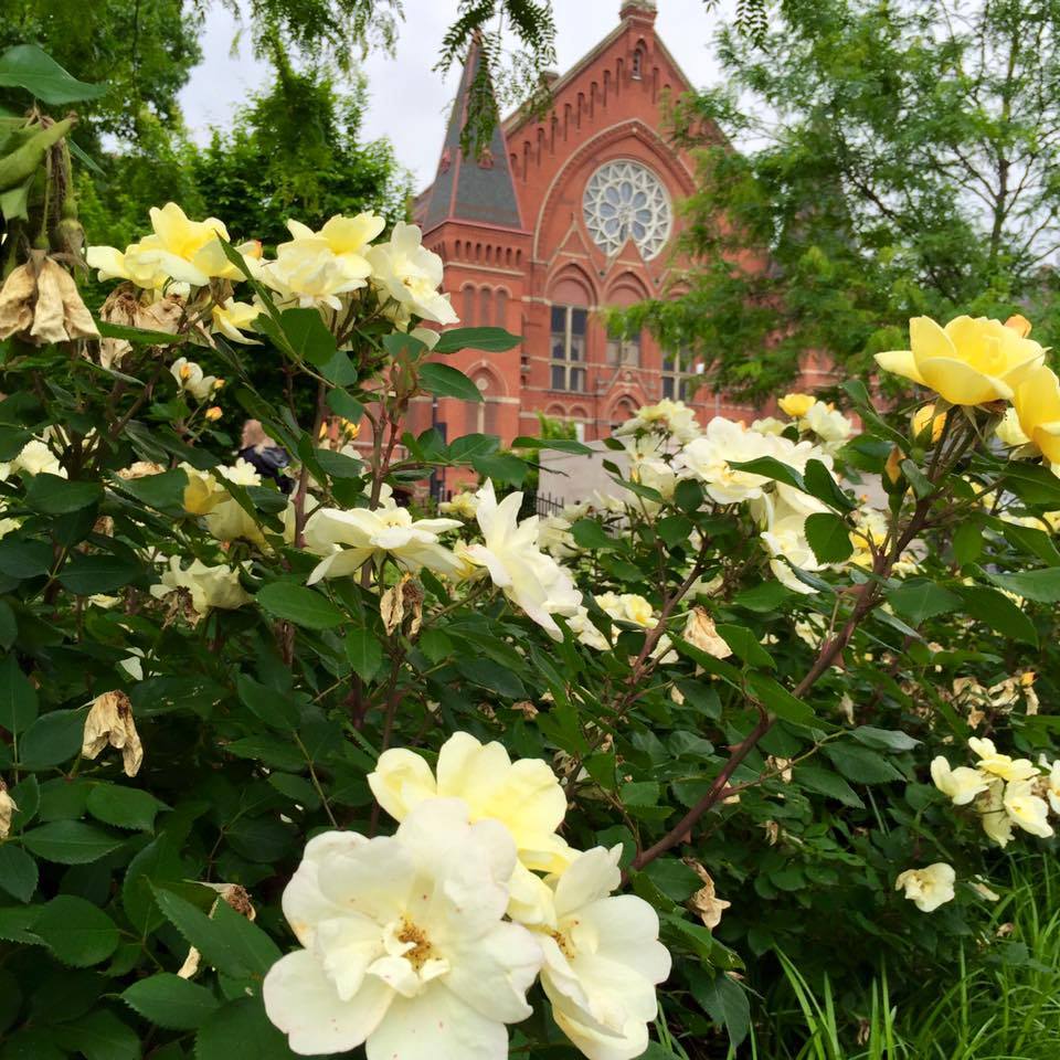 CincyMuseum's tweet photo. Our #WalkingTours cover a variety of interests and captivate individuals, families and groups! Check out our upcoming #WalkCincinnati tours: https://t.co/cEeHgiq6Iu https://t.co/3BH45UKm6i