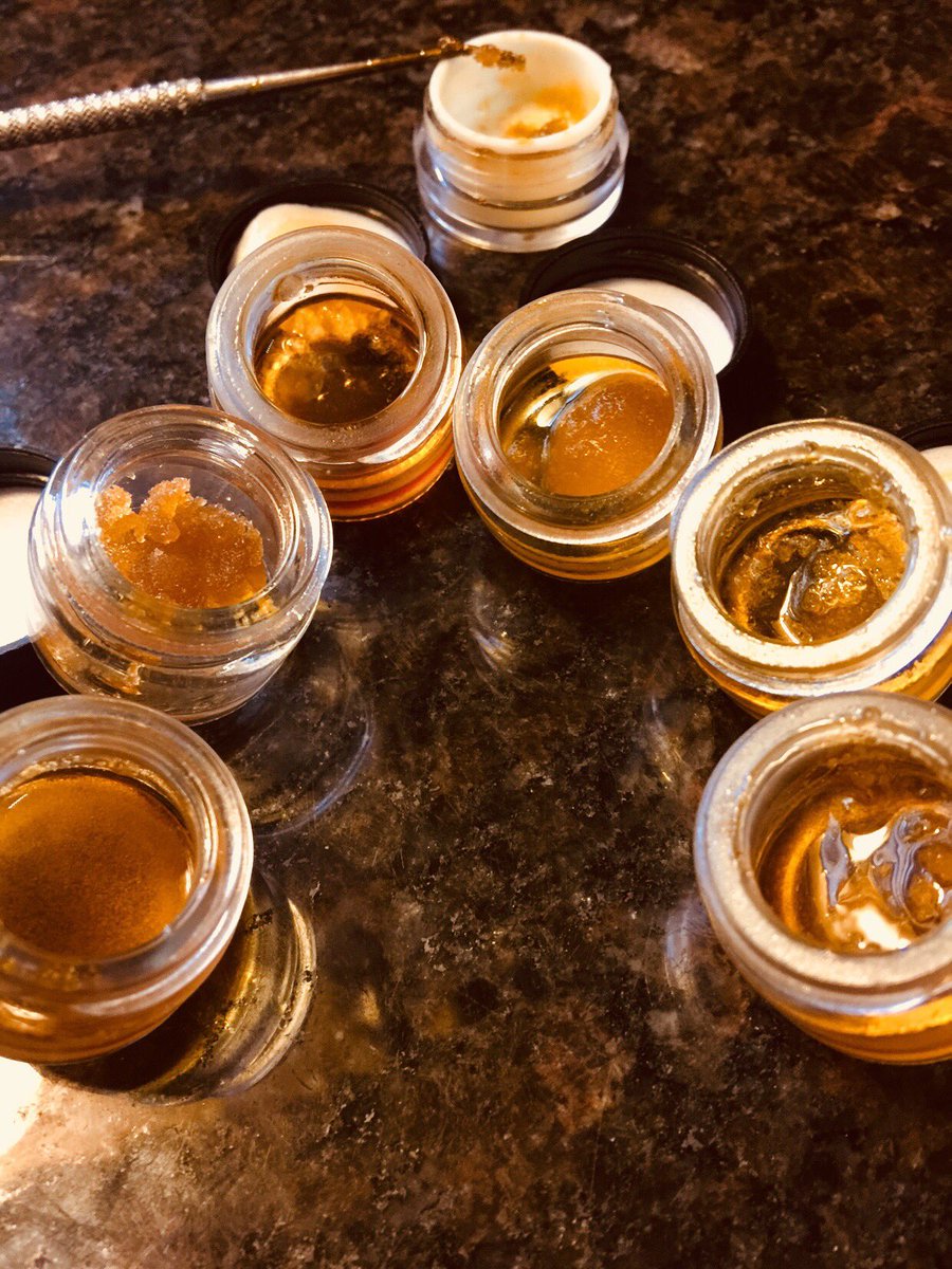 EmeraldZoo's tweet image. Yummy. It’s getting #Terpy around here!