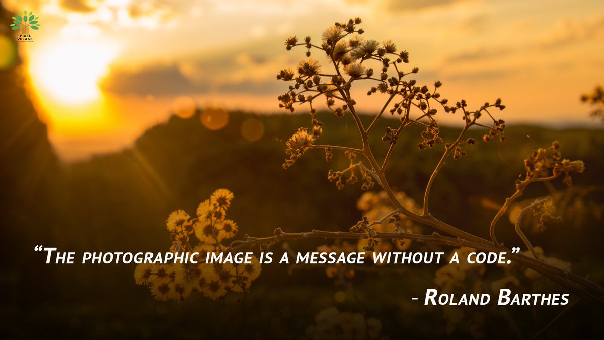 PixelViilage's tweet photo. “A good photograph is knowing where to stand.” Use a SmartPhone to get the Best Photos

Join @PixelViilage &amp; Subscribe 

@seeradha @RadhaBijesh @fstoppers @iso1200magazine
#Nikon #Godox #Sirui #Loupedeck

Happy Clicking 😉
https://t.co/3R0JjgTrrX https://t.co/7liqcMkgo8