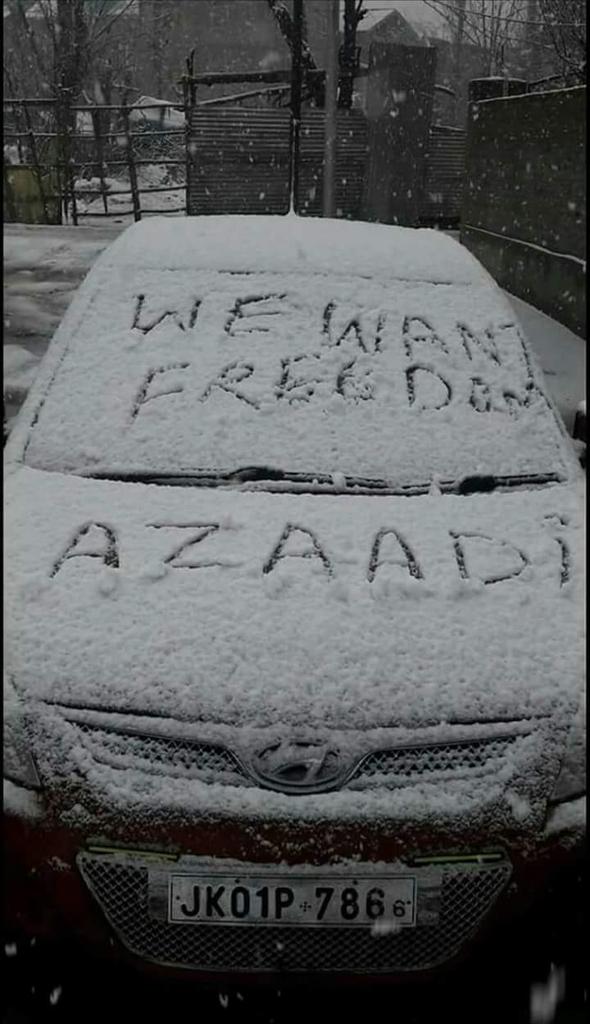 AfaaqGardezi's tweet photo. Freedom Slogans are being chalked everywhere in #kashmir
#SaveArticle35AForKashmir https://t.co/U26Nl9Fhzb