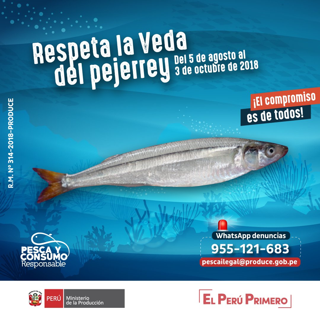 Hoy inicia la veda del pejerrey y necesitamos de tu apoyo para que en todo el Perú se respete esta etapa de protección de nuestro recurso. ¡Dale RT este post para que más peruanos se sumen al cuidado de esta especie! ☺👍