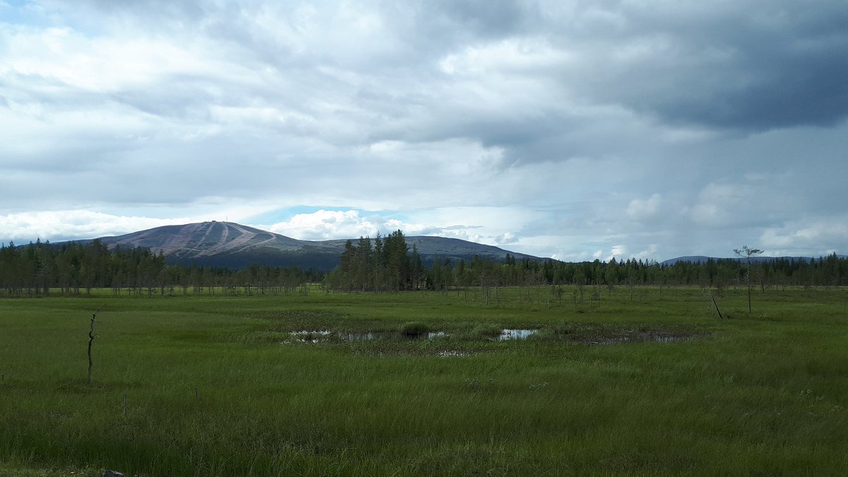 Tois puol tunturin. Kukas tuli koettua kahteen kertaan, Lainiota ja Kesänkiä sivuten. Ens vuonna Saanalle! #tunturisuunnistus