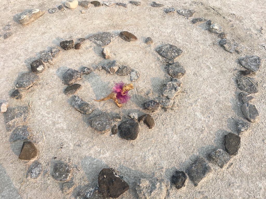 dinotutu's tweet photo. Also this #gish2018 #spiraljetty https://t.co/NmuNgJihMG