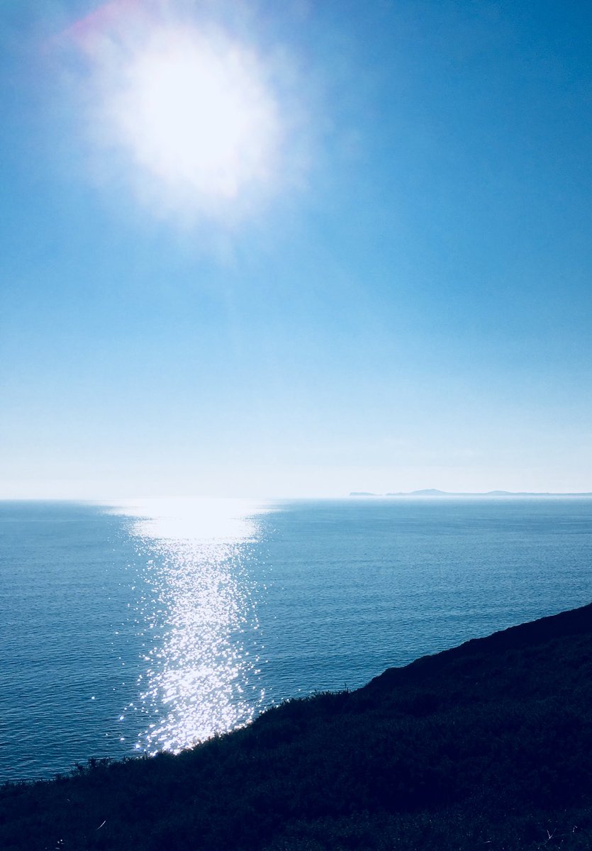 policecommander's tweet image. Happiness is a sunset on the Pembrokeshire Coast Path... With a spaniel for company and your family waiting for you down by the sea.