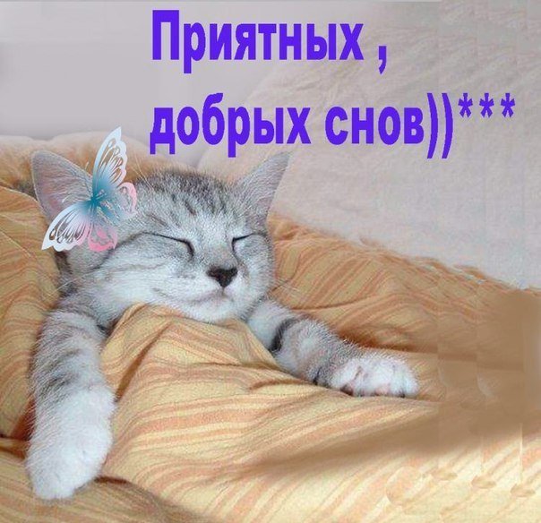 Прикольные картинки спокойной ночи приятных сновидений