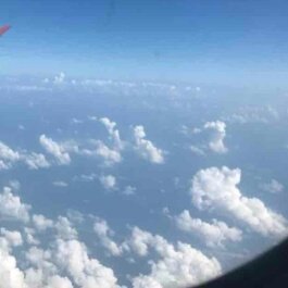 şimdi kendimi gökyüzünün şeffaf kollarına bırakıyorum.
insanlığın dirildiği zamanda  bana  haber verirsiniz . malum insanlık bitmiş.
"ŞAHSIMA MUNHASIR