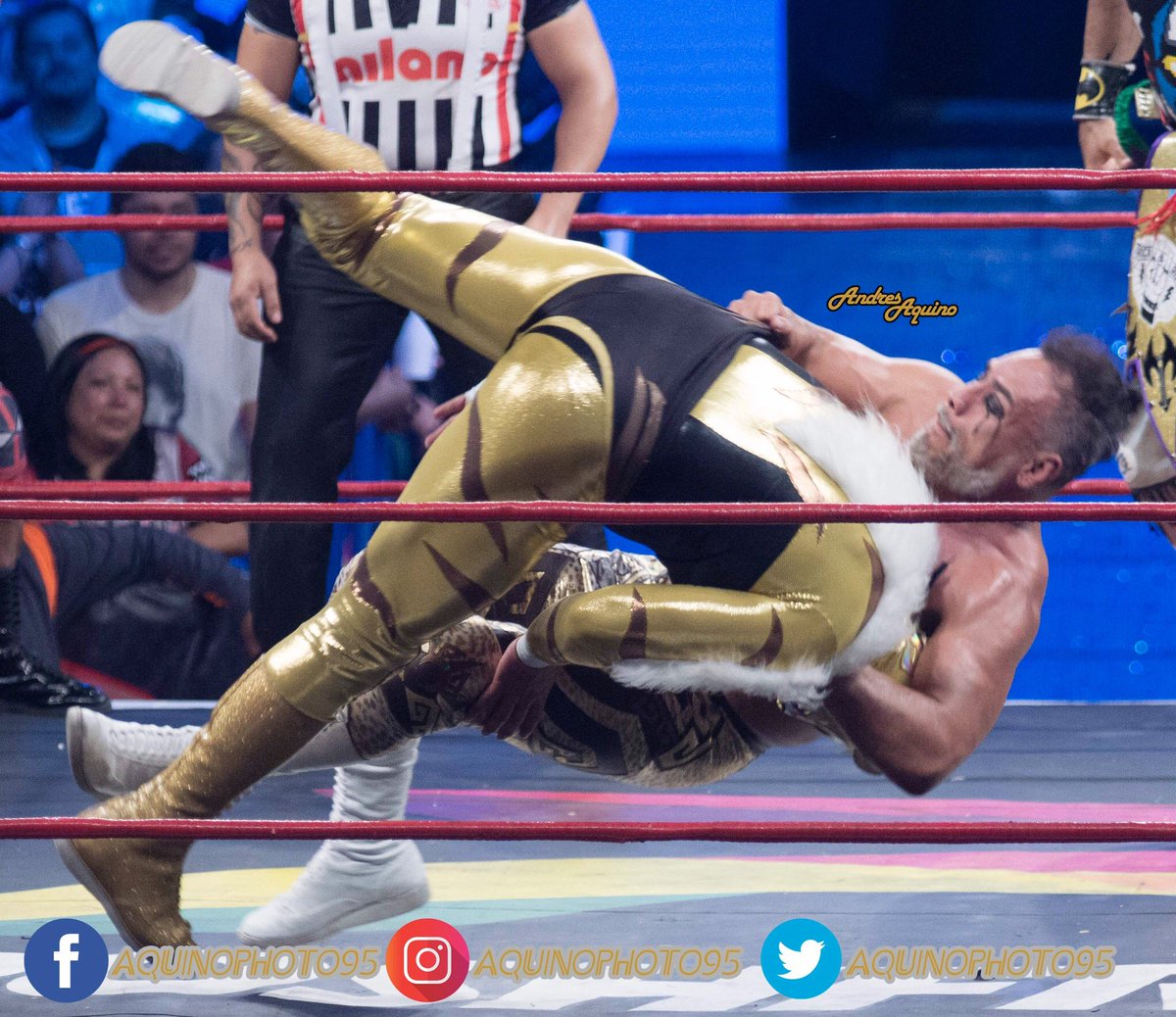 aquinophoto95's tweet photo. .@WagnerJrOficial 🆚 @PumaKingOficial
#LuchaLibre #Wrestling #LuchaWoW
#Instagram 👉 https://t.co/QKbXIZoihP 👈
#Facebook 👉 https://t.co/U37arsMCGx 👈
#Alpha77 📷
#SonyAlphaMexico
#ComunidadAlphaMexico https://t.co/eBpXIyR993