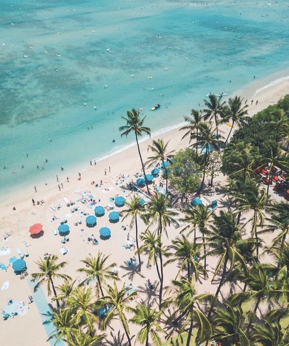 Taking in the stunning views of Waikiki Beach is just the start when you vacation with us. Ocean adventures, cultural experiences and live local music await 🌺 | photo: @hawaiitag