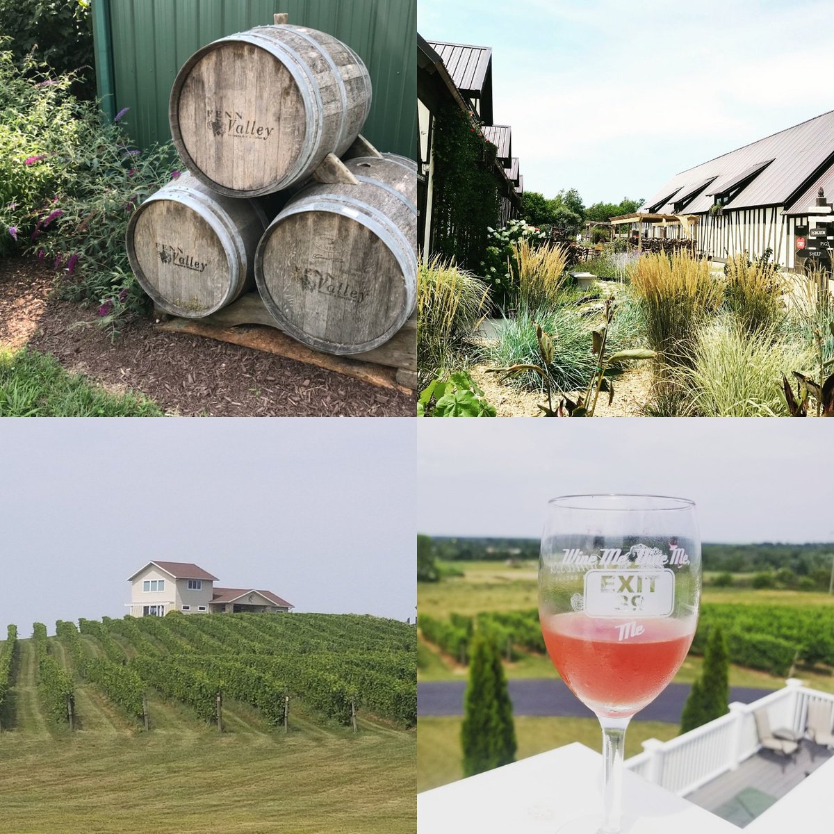 SensibleWino's tweet photo. Fun day along the @MIWineTrail in #WesternMichigan @fennvalley, @VirtueCider, Karma Vista Vineyards, and Contessa Wine Cellars. #SundayFunday https://t.co/v8rhHvEulH