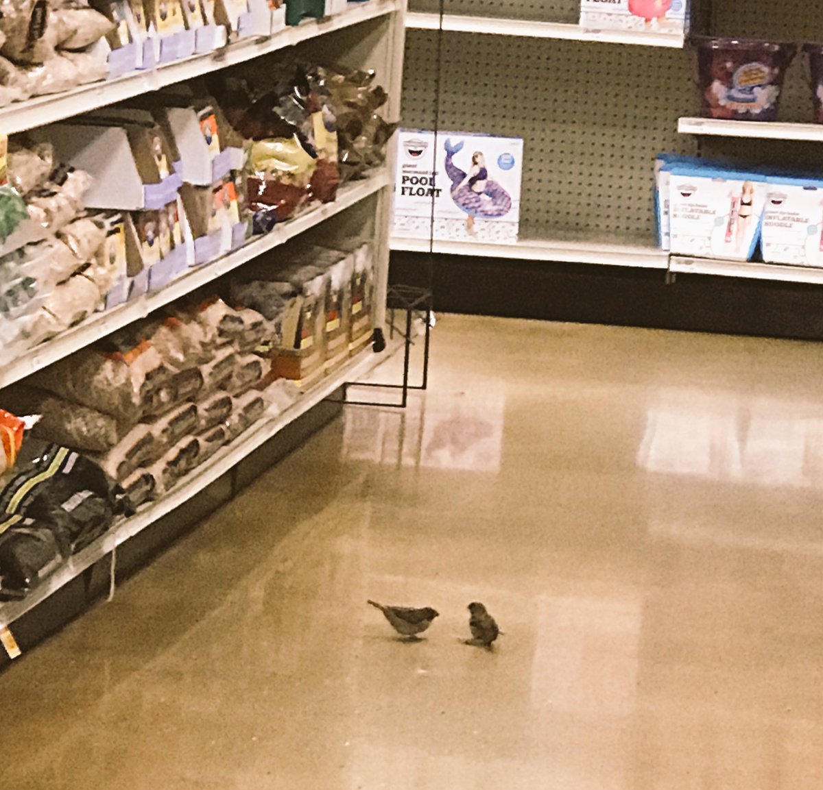 Lisa (@lisaeducate) on Twitter photo Shopping #food #samples <a href="/FredMeyerStores/">Fred Meyer</a> #Salmoncreek #stillsmiling Shopping #food #samples <a href="/FredMeyerStores/">Fred Meyer</a> #Salmoncreek #stillsmiling