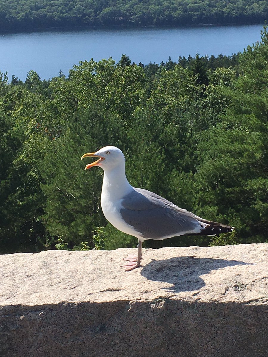 tracyars's tweet image. And just like that vacation is over.