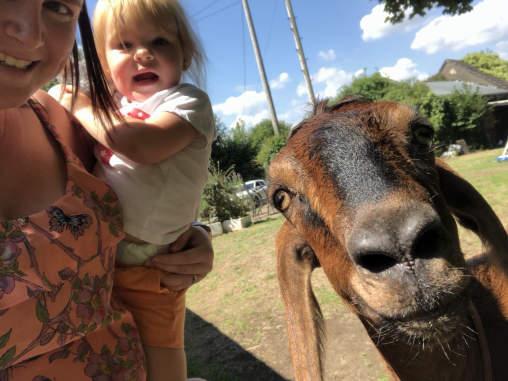 Nicola Edwards (@nicolaedwards27) on Twitter photo Epic photo bomb by daisy the goat. <a href="/Attenboroughs_D/">D Attenborough</a> <a href="/48Powles/">Scotty p</a> <a href="/Sir_Attenboroug/">David Attenborough</a> @funyanimals Epic photo bomb by daisy the goat. <a href="/Attenboroughs_D/">D Attenborough</a> <a href="/48Powles/">Scotty p</a> <a href="/Sir_Attenboroug/">David Attenborough</a> @funyanimals