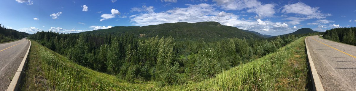 BigCountry931's tweet photo. Another incredible vista from my travels on Friday. This is along Highway 29 between Chetwynd and Tumbler Ridge! #ViewsFromThePeace
- Ken Elrick II https://t.co/f9DIQeQRU7