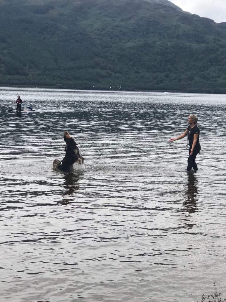 SusanMcGhee123's tweet photo. Up Ben Lomond and in Loch Lomond #domoreofwhatyoulove #dogsonhills #BenLomond #SundayFunday #firstmunro https://t.co/frPBVHaD7e