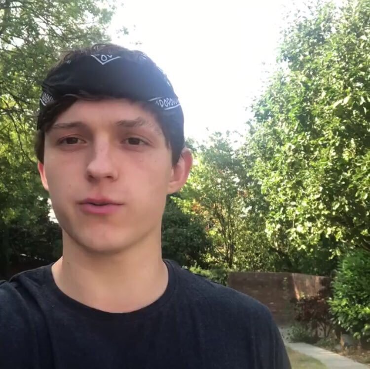 spideytigerh's tweet photo. Tom Holland is a bless for my eyes https://t.co/BUw4dGD2xs