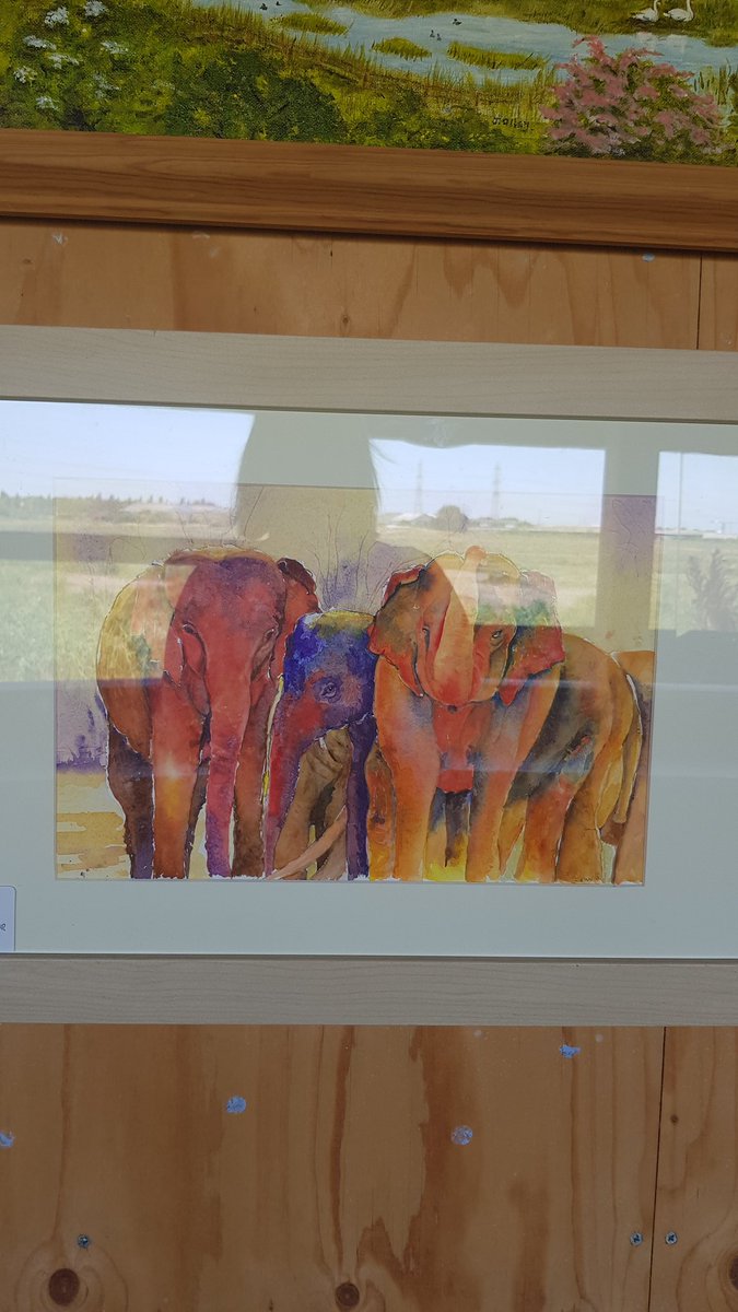 Our Artwork @RSPBEssex #rainham