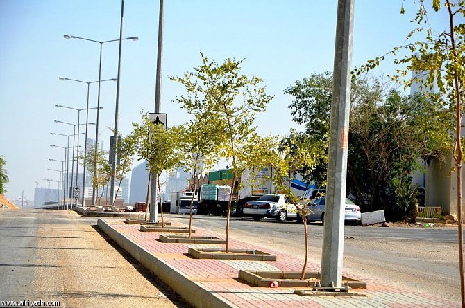 بلدية محافظة بدر בטוויטר فيديو جانب من أعمال الأرصفة في حي الغزلاني