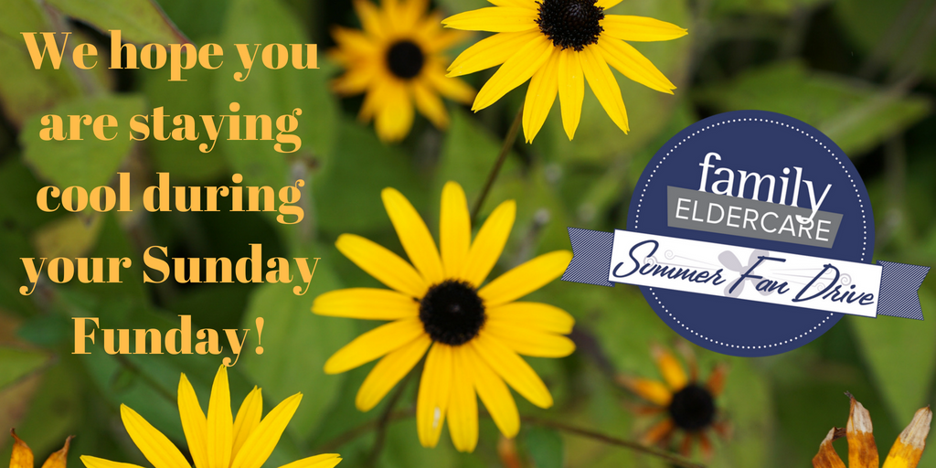 familyeldercare's tweet photo. We hope you are staying cool during your #SundayFunday! #SummerFanDrive #FansAND #7000fans #ChillOut #StayCool https://t.co/uoX6AelgHz