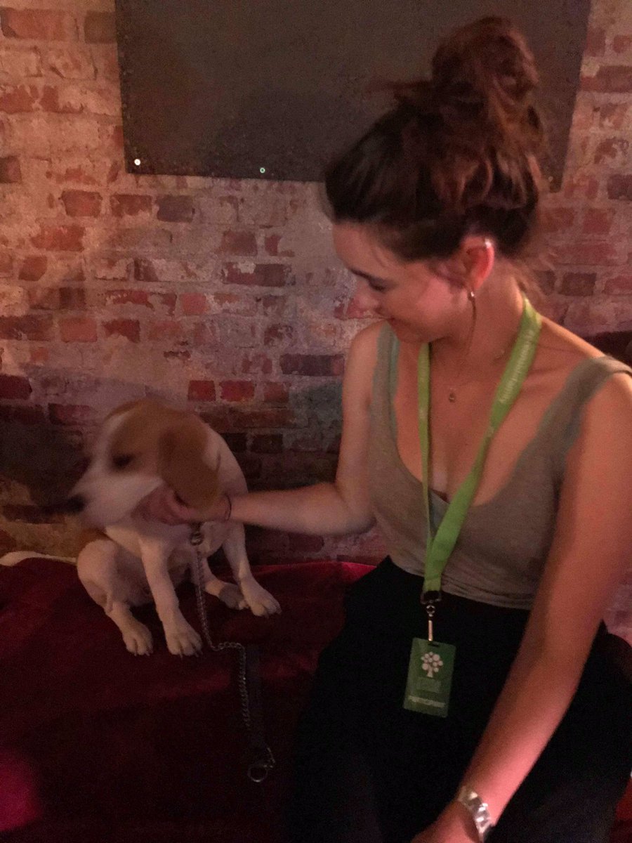Utterly speechless! We will back at least 5 times, just for the dog! 🎉 <a href="/FlabbergastT/">Flabbergast Theatre</a> #theswellmob