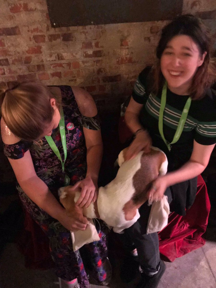 SquabblingHouse's tweet photo. Utterly speechless! We will back at least 5 times, just for the dog! 🎉 @FlabbergastT #theswellmob https://t.co/gaFJxiYvBH