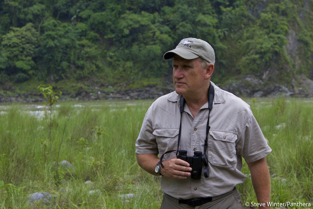 Panthera tweet media