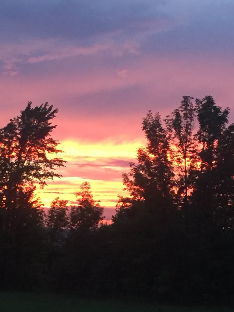 AllAlzheimer's tweet photo. Don’t use your energy to worry. Use your energy to BELIEVE!
#AlzheimersDisease
#dementia
#ontario
#civicweekend
#familytime https://t.co/BFWVbiuYD5