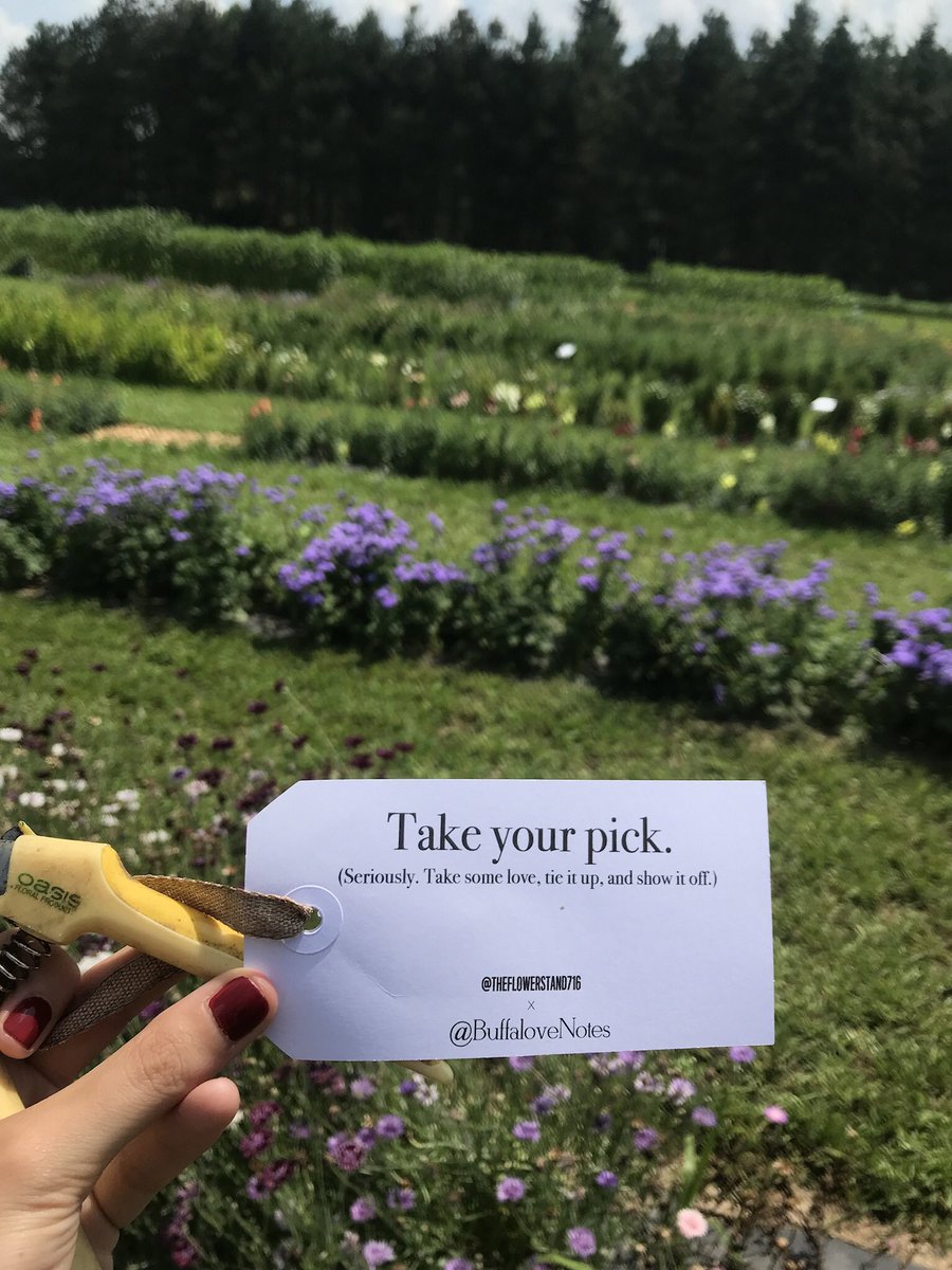 BuffaloveNotes's tweet image. And pick we did. We are so proud to bring our paper trail all the way to @theflowerstand716. So, go get your blooms, grab some #Buffalove along the way, and then show it all off, of course. #BuffaloveNotes #FlowerStand716 #Flowers