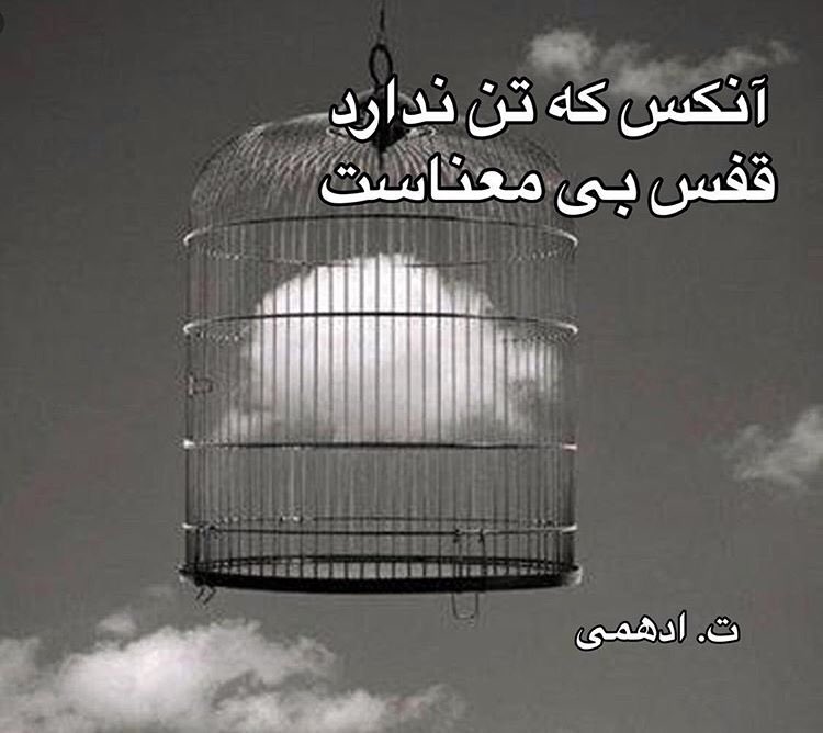 m0shtagh's tweet photo. انکس که تن ندارد

قفس بی معناست

#ت_ادهمی https://t.co/IQhfgvLade