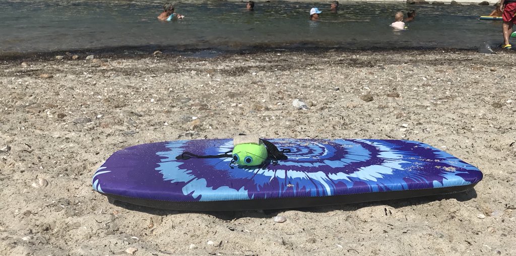 ZajacSLP's tweet photo. #SurfsUp for #Ellie
#WoodNeckBeach #BoogieBoardBug #LazyRiver #LoveYourBug #BringYourBug @bringthebugnow @mrtwhalen https://t.co/o57EG18uZu