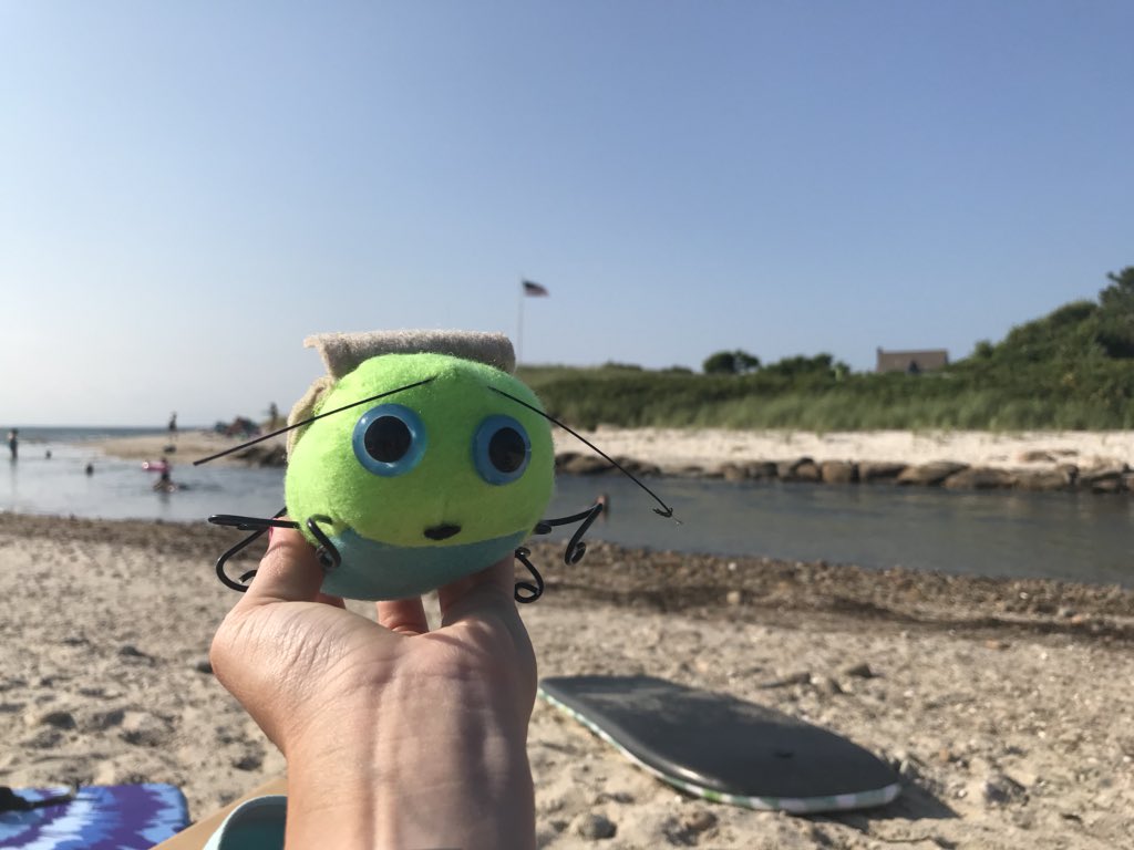 ZajacSLP's tweet photo. #SurfsUp for #Ellie
#WoodNeckBeach #BoogieBoardBug #LazyRiver #LoveYourBug #BringYourBug @bringthebugnow @mrtwhalen https://t.co/o57EG18uZu