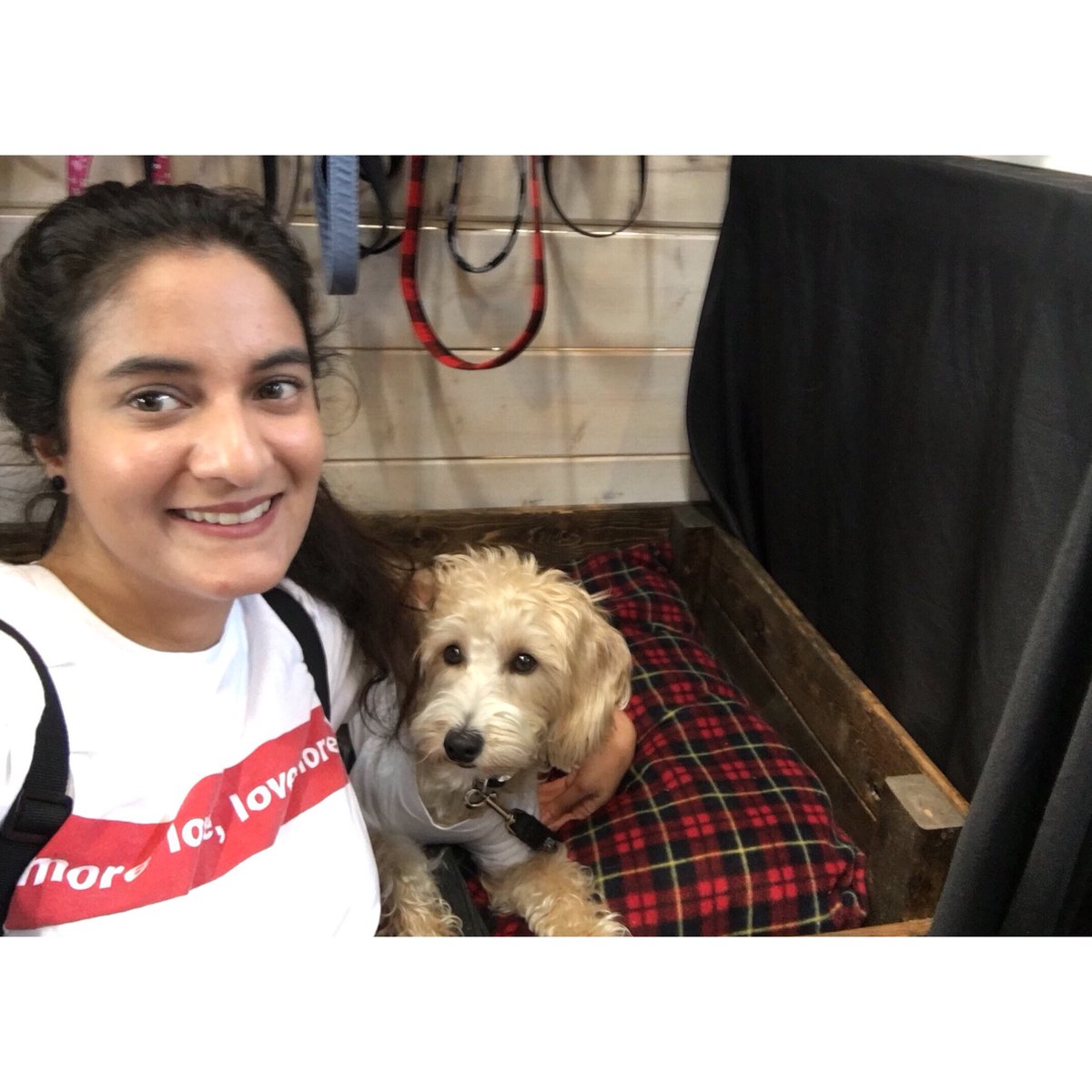 fatimahmae's tweet photo. .@wffarmersmarket a fave #LdnOnt spot. Makes me happy. Market vibes, best vibes. Congrats to Melissa @loadsofsoap on the grand opening of Unwrapped: zero waste marketplace! Shoutouts @commongrndfarm, #HungaryButcher &amp; #SoInviting for goodies! Met lil celeb Max @sfandcompany_ :) https://t.co/XejgZYjyLL