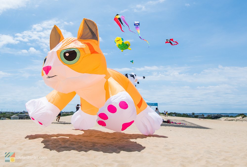 OuterBankscom's tweet image. Kites flying above Jockey's Ridge State Park  #obx #outerbanks ow.ly/XL3Y30kGXeA