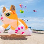 Photo by OuterBanks.com (@OuterBankscom)