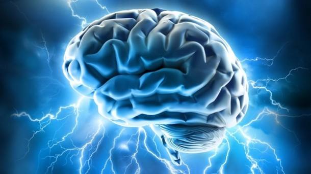 We're thrilled to announce the return of KNN in 2018!!  Join us on 19 August <a href="/UniofAdelaide/">Uni of Adelaide</a> from 12:30-3:30pm to meet your brain! Register now at kidsnavneuro.eventbrite.com.au #natsciwk