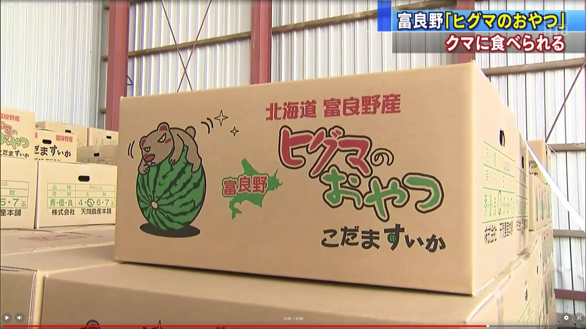 名前の通りになっちゃったｗヒグマのおやつがヒグマに食べられる珍事件ｗｗｗ