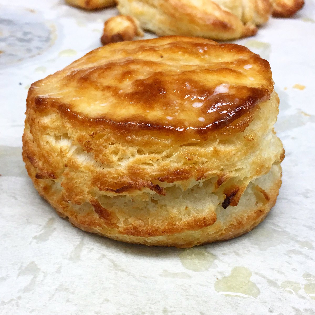 eatlocalroots's tweet photo. Hard to describe the goodness of this homemade biscuit, so yall just have to try it. Breakfast coming this fall! @BamaDining @spoon_bama https://t.co/TObznX5uBj
