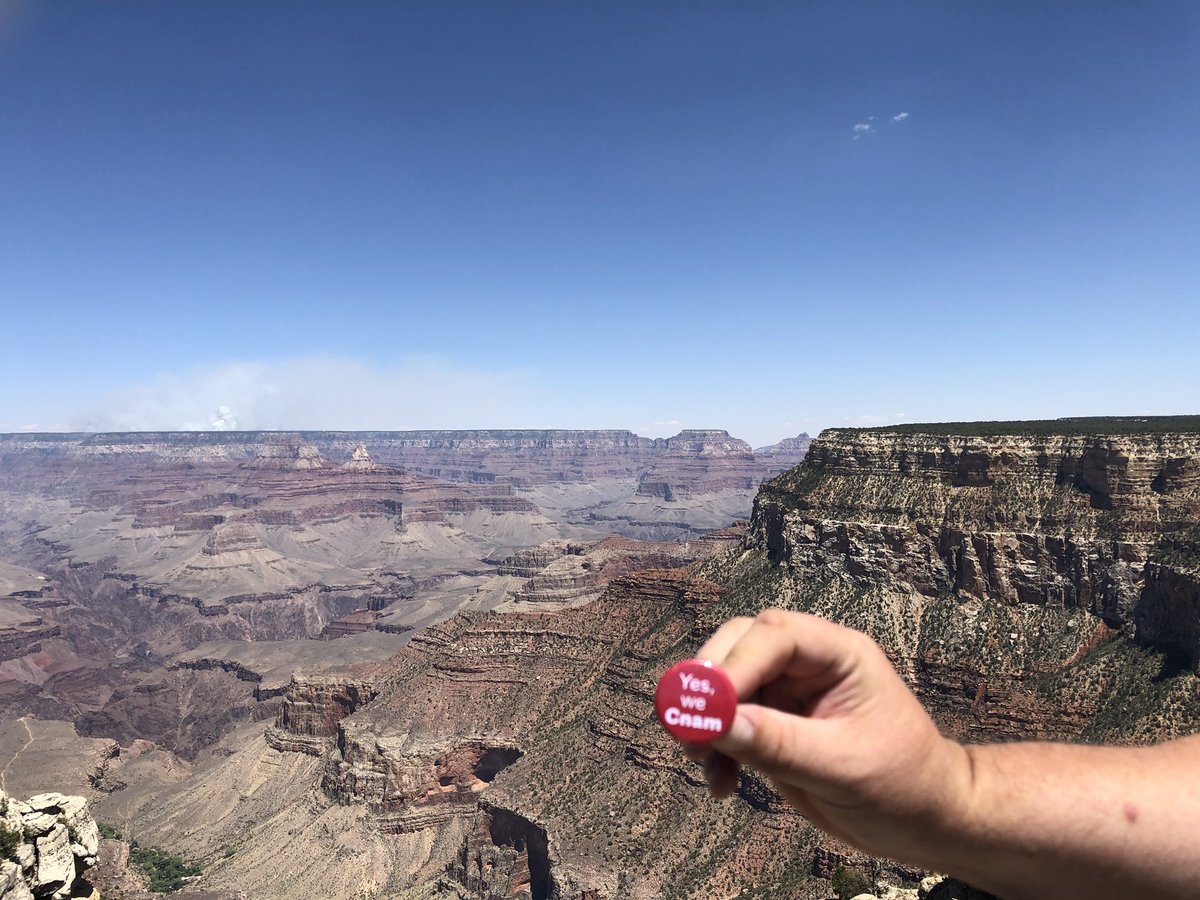 Michel Hémon tweet media