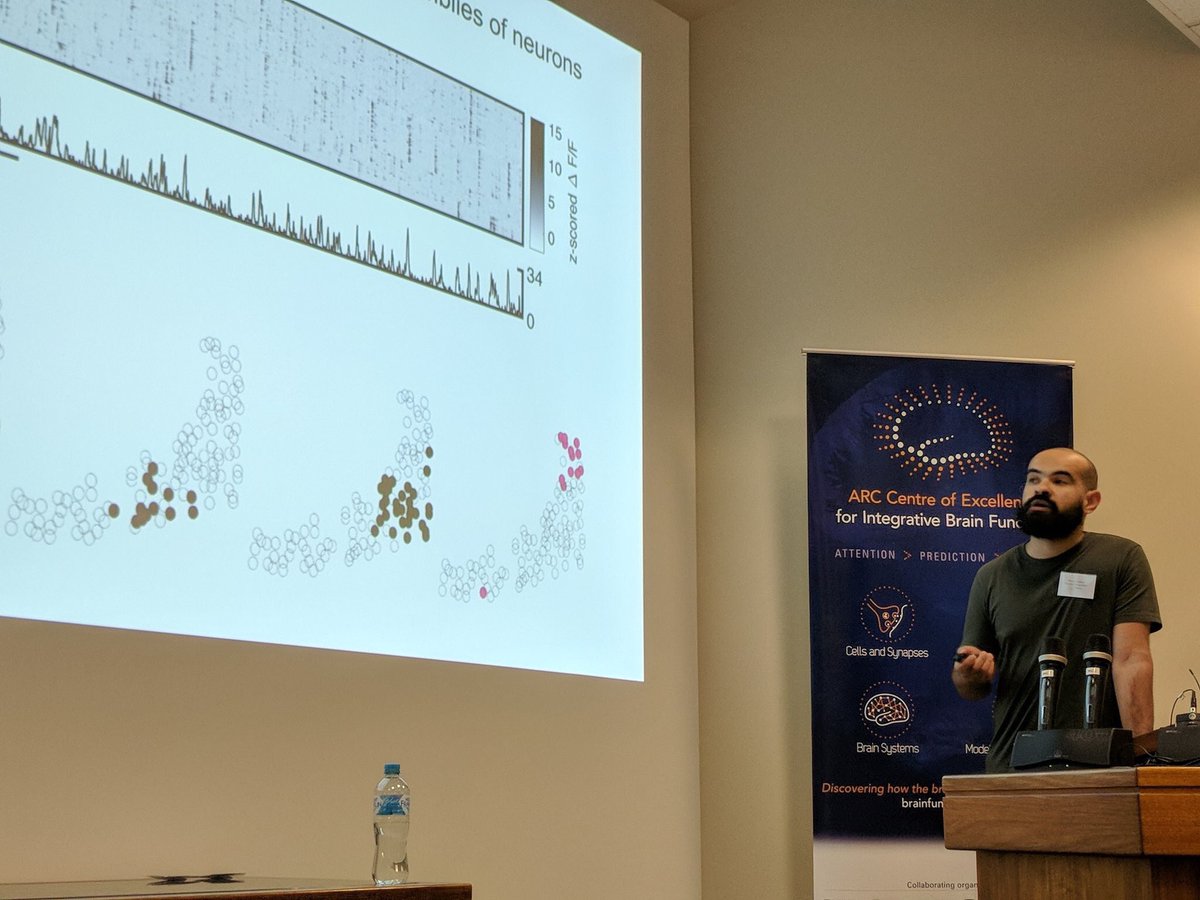 Blake Saurels tweet media